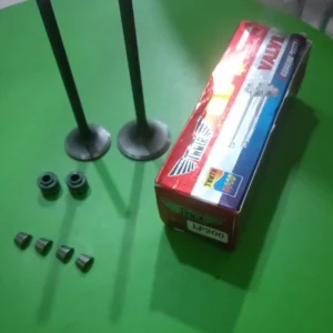 KLEP SET/KLEP PAYUNG/VALVE 200CC SPAREPART MOTOR RODA TIGA.VIAR KAISAR NOZOMI