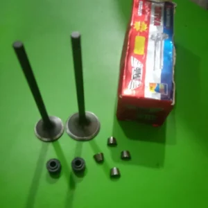KLEP SET/KLEP PAYUNG/VALVE 150CC SPAREPART MOTOR RODA TIGA.VIAR KAISAR NOZOMI